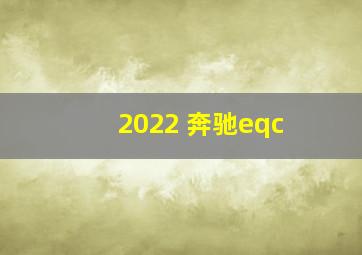 2022 奔驰eqc